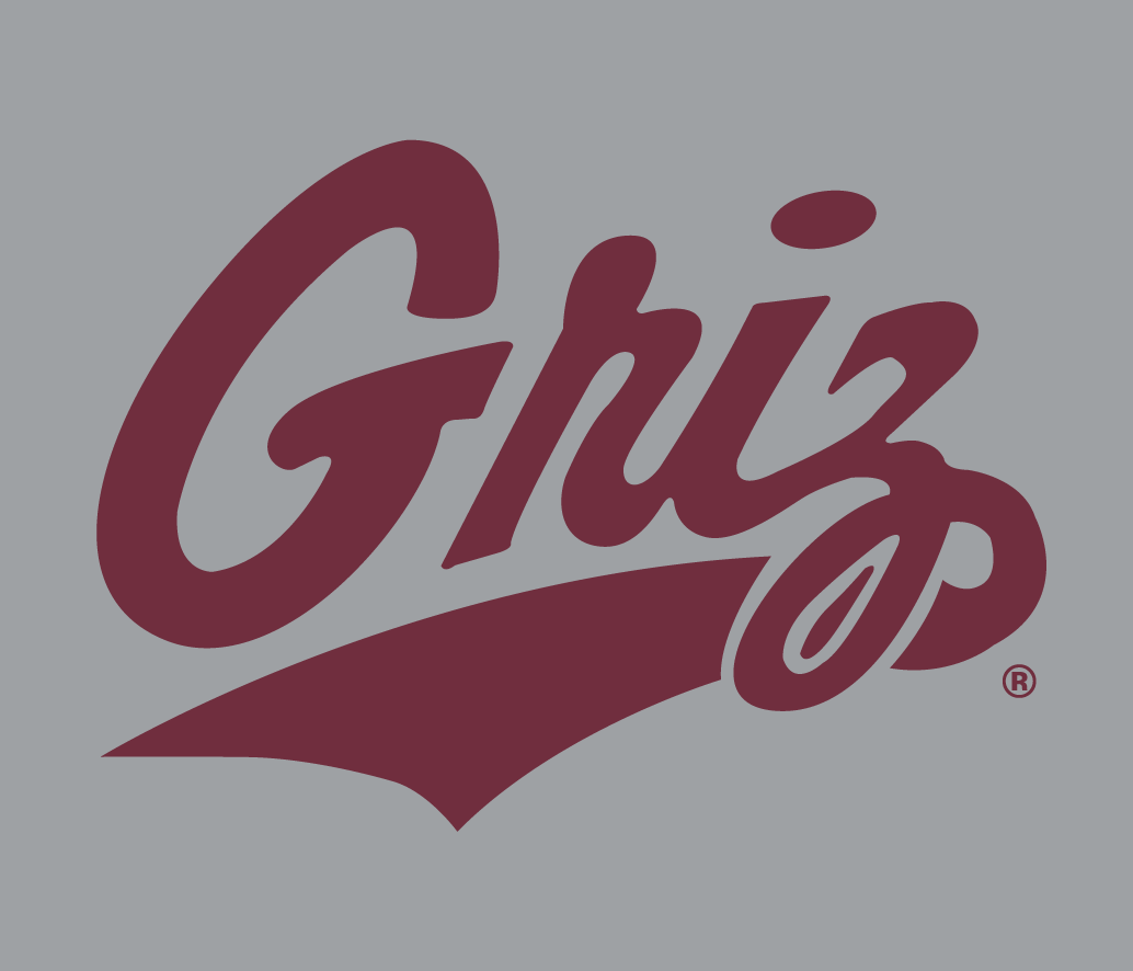 Montana Grizzlies 1996-Pres Alternate Logo v5 iron on transfers for T-shirts